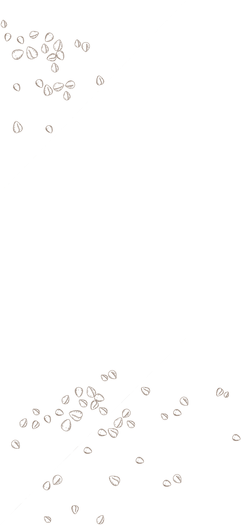 Trenza de hojaldre de crema